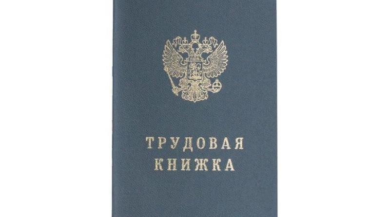 Электронная трудовая книжка 2023. Трудовая книжка. Новая Трудовая. Бланк документа 